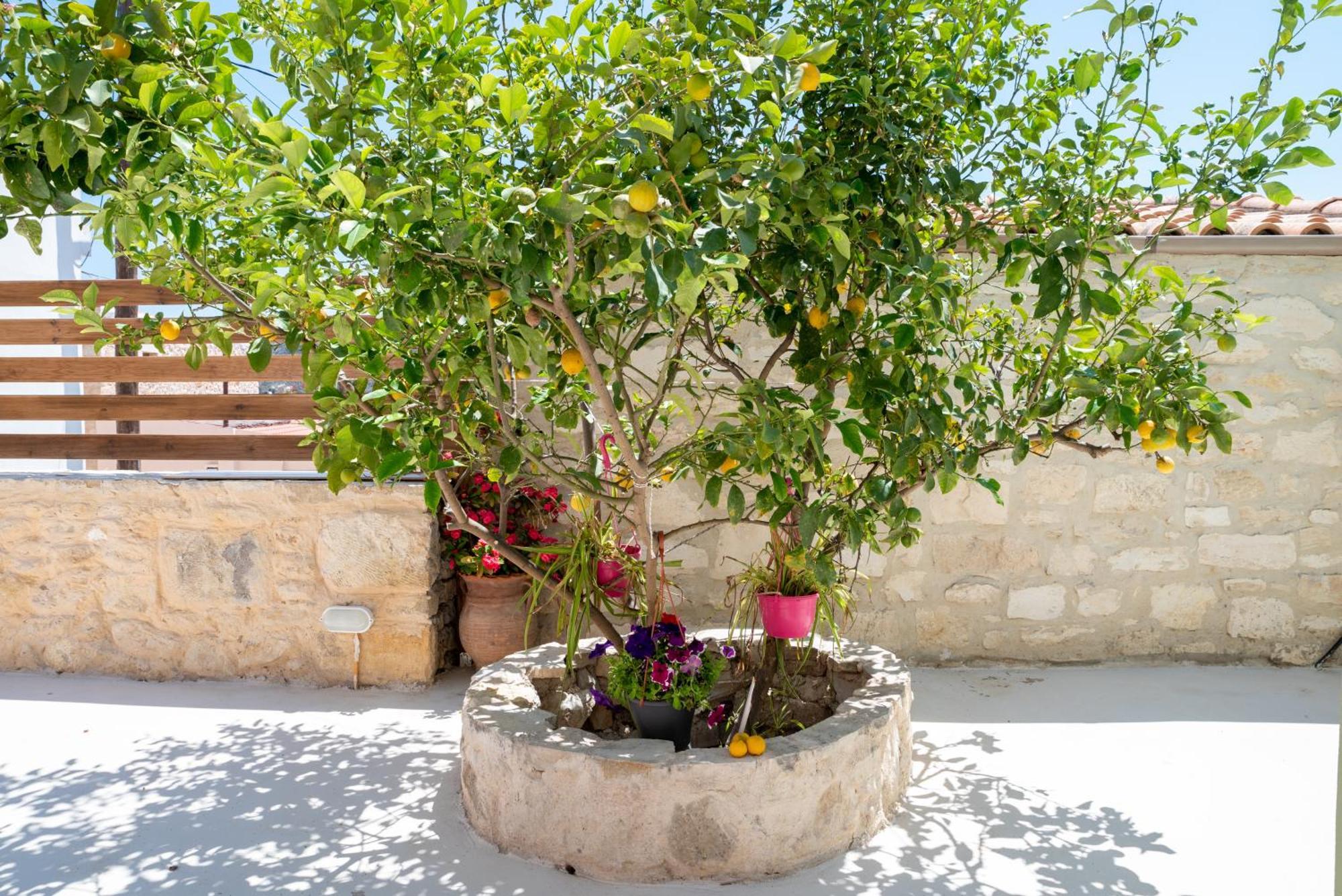 Calliope'S House In Knossos Villa Bagian luar foto